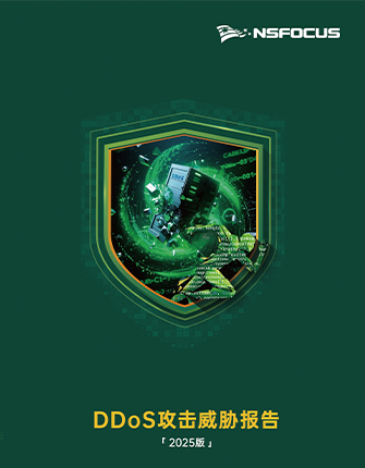 《DDoS攻击威胁报告（2025版）》